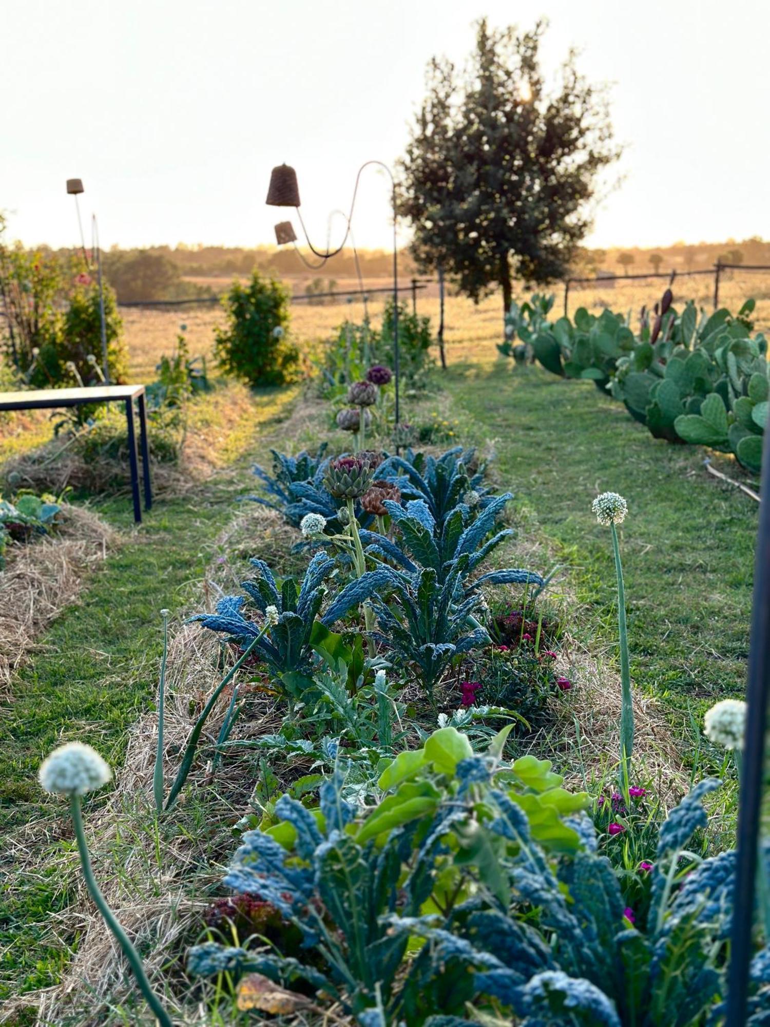 Tenuta Di Paternostro Vetralla Exterior foto